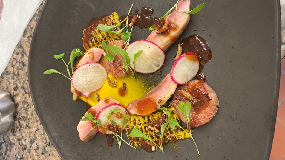 The Neptune Top 50 Gastropubs